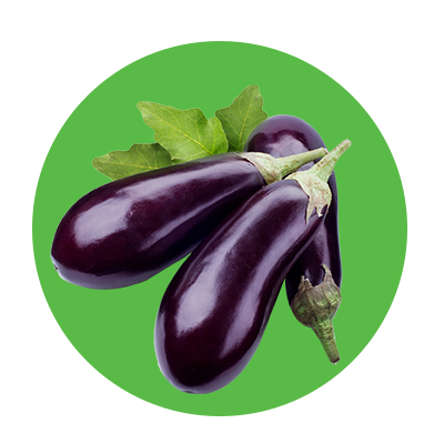 Fresh eggplant