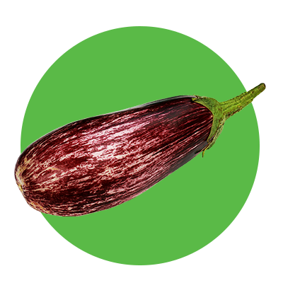 Fresh eggplant